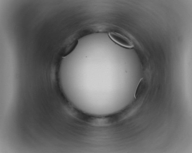 X0000112390217200908131350