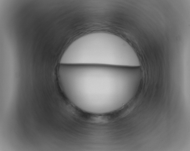 X0000112390221200908131350