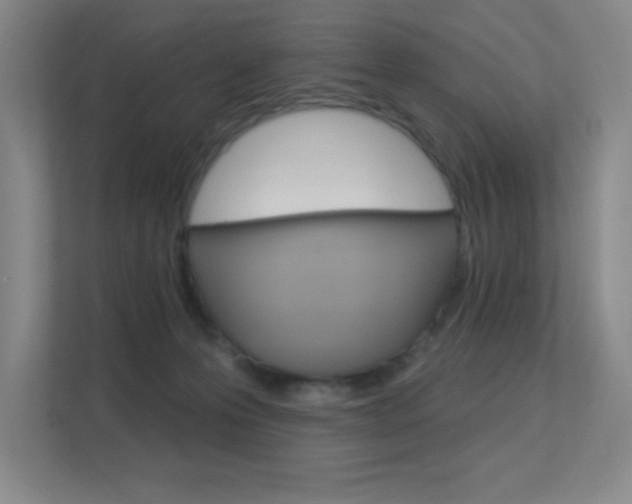 X0000112390223200908131350