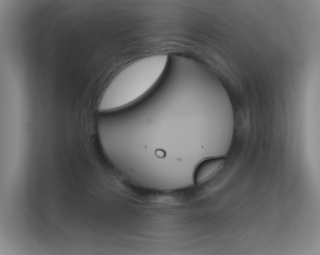 X0000112390224200908131350