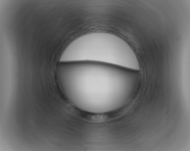 X0000112390225200908131350