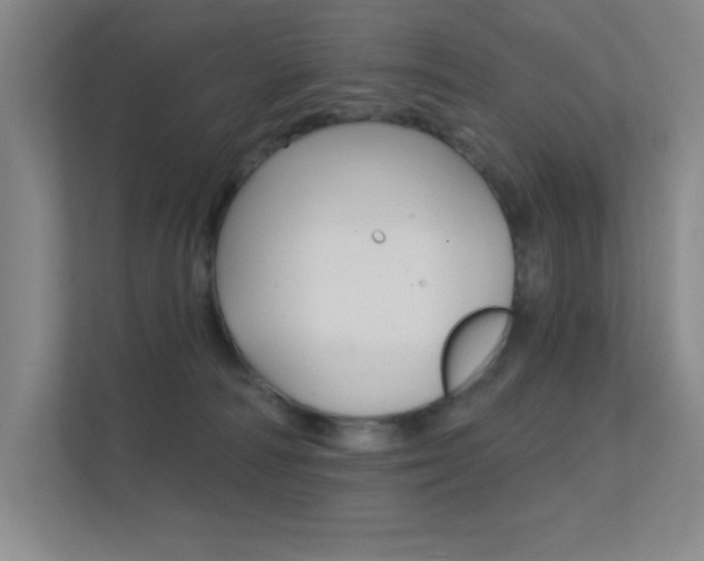 X0000112390226200908131350