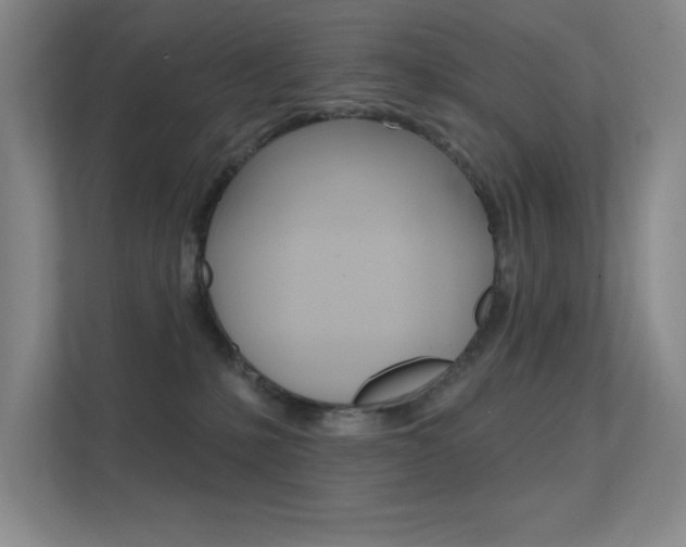 X0000112390231200908131350