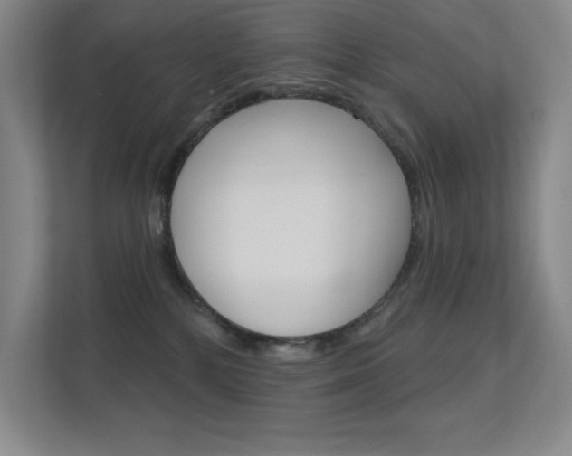 X0000112390232200908131350