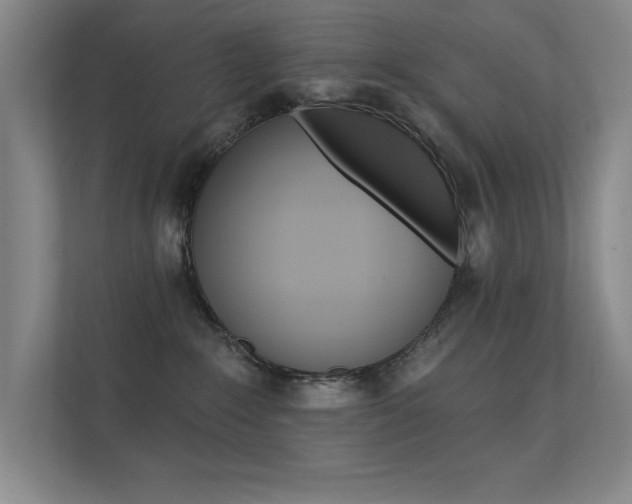 X0000112390235200908131350