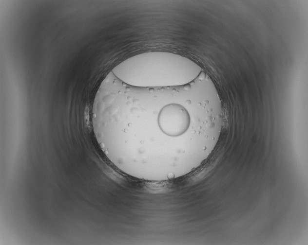 X0000112390238200908131350