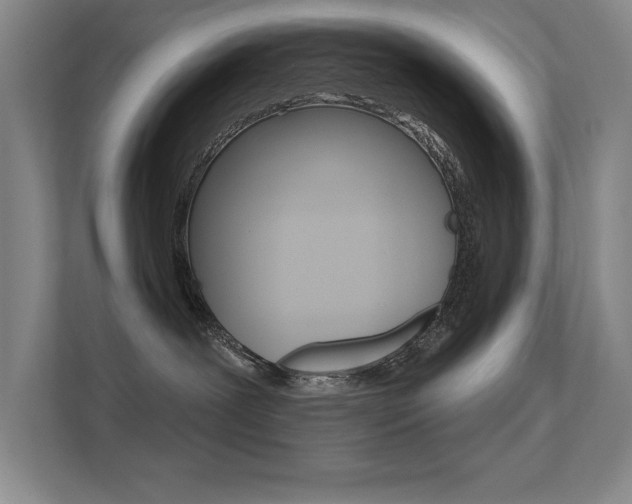 X0000112390239200908131350