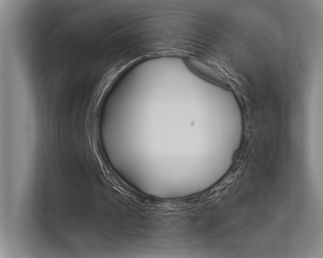 X0000112390241200908131349