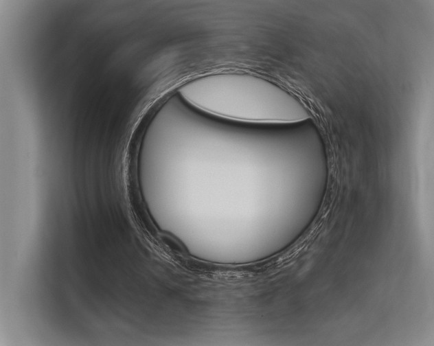 X0000112390242200908131349