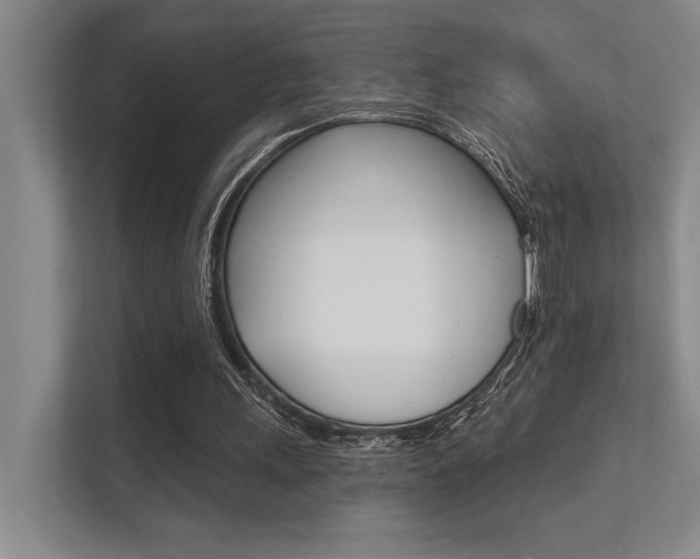 X0000112390243200908131349