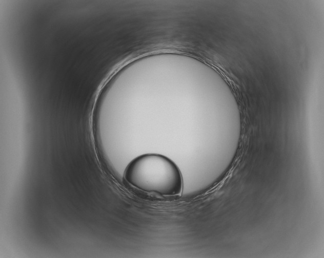 X0000112390244200908131349