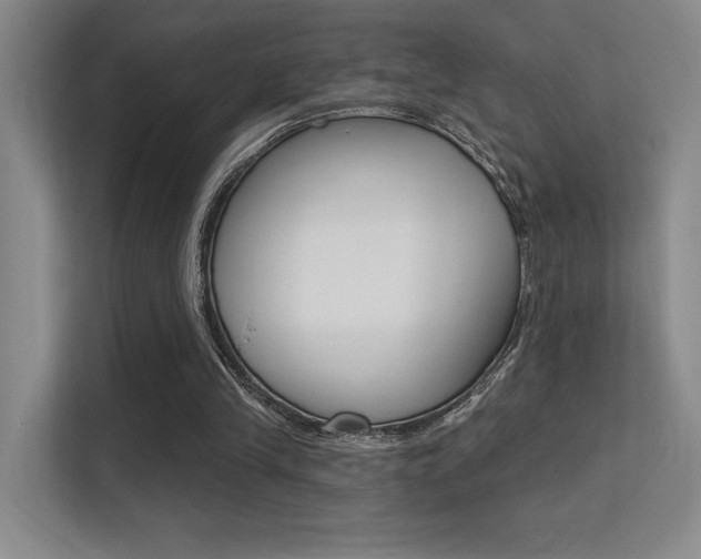 X0000112390245200908131349