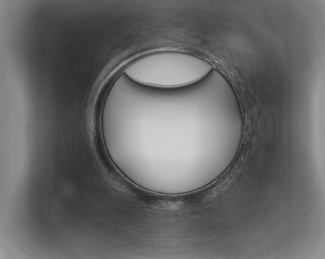 X0000112390247200908131349