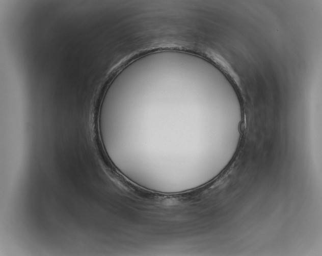 X0000112390249200908131349