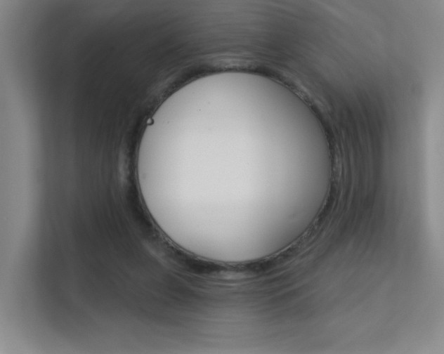 X0000112390255200908131350