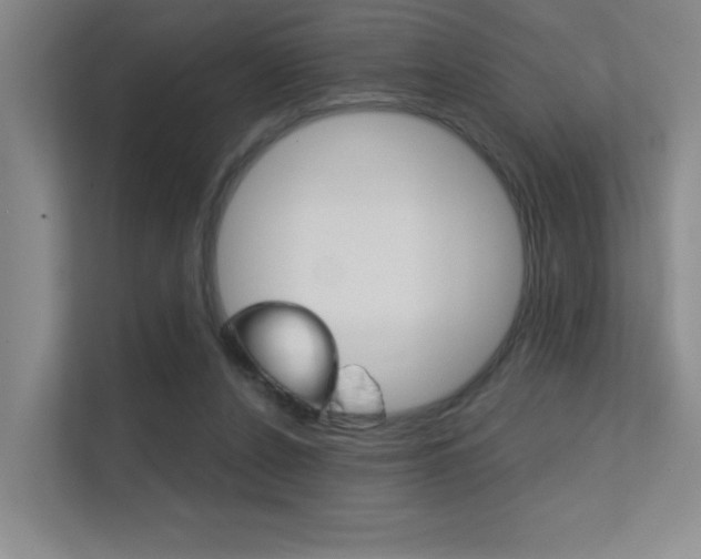 X0000112390256200908131350