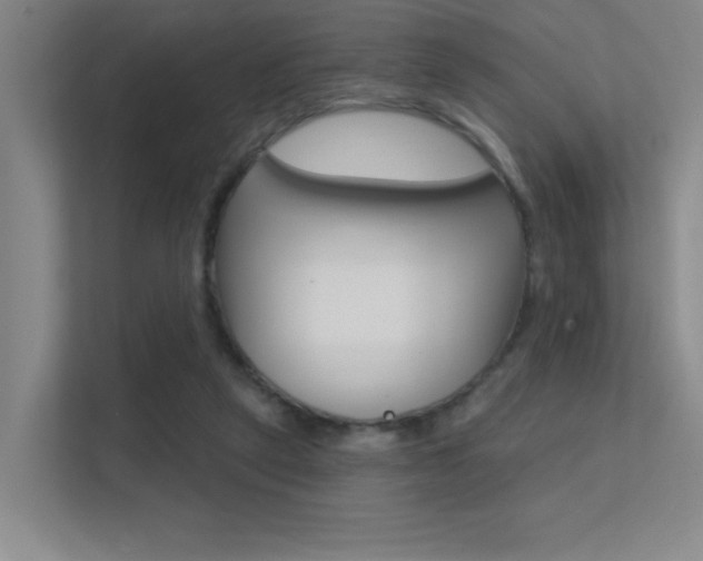 X0000112390257200908131350