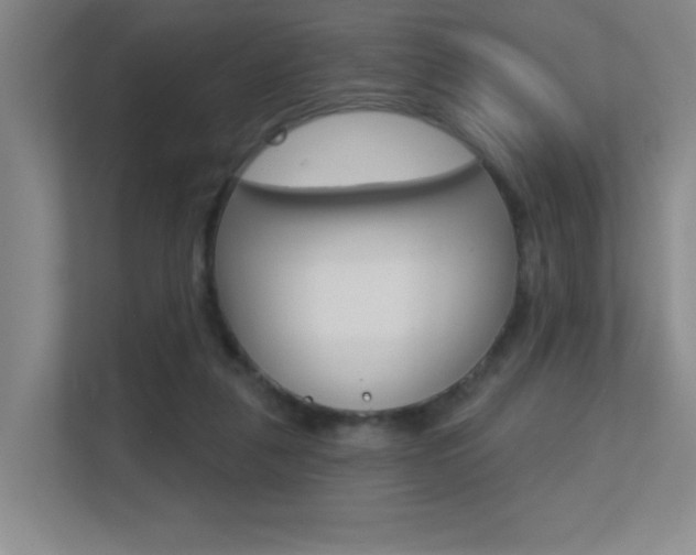 X0000112390259200908131350