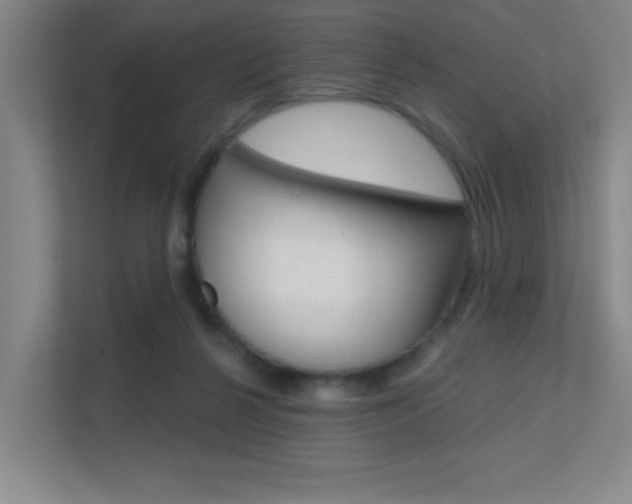 X0000112390264200908131350