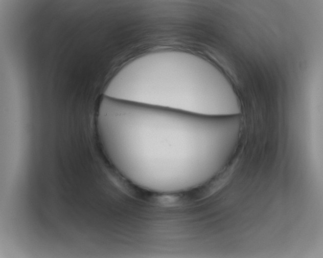 X0000112390265200908131350