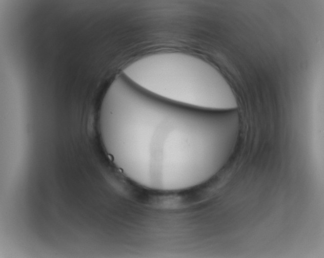 X0000112390266200908131350