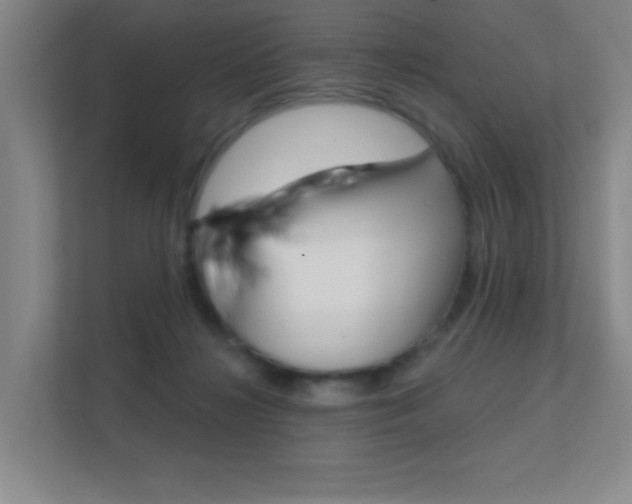 X0000112390268200908131350