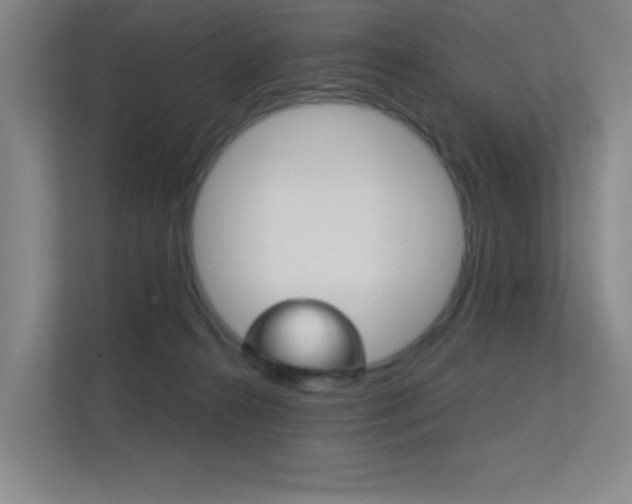 X0000112390272200908131350