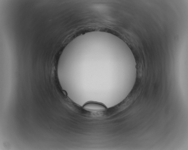 X0000112390279200908131350