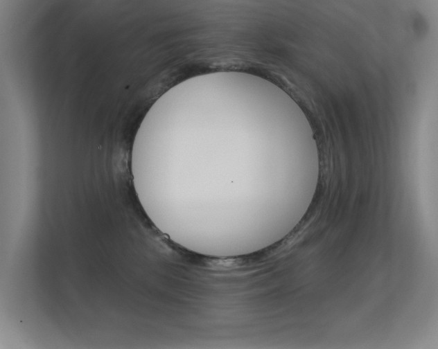 X0000112390281200908131350