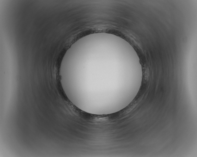 X0000112390283200908131350