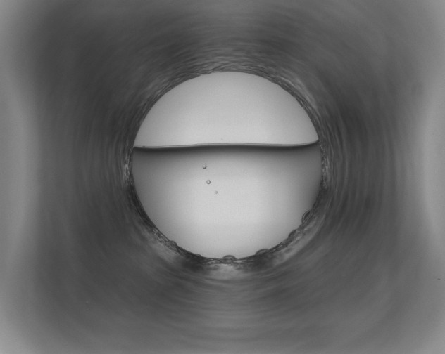 X0000112390285200908131350