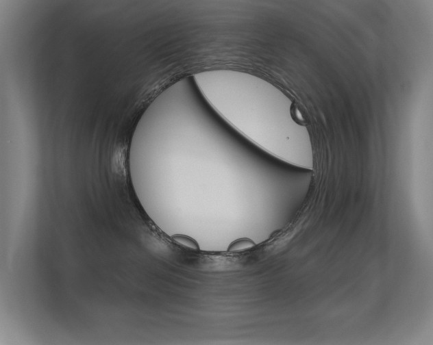 X0000112390286200908131350