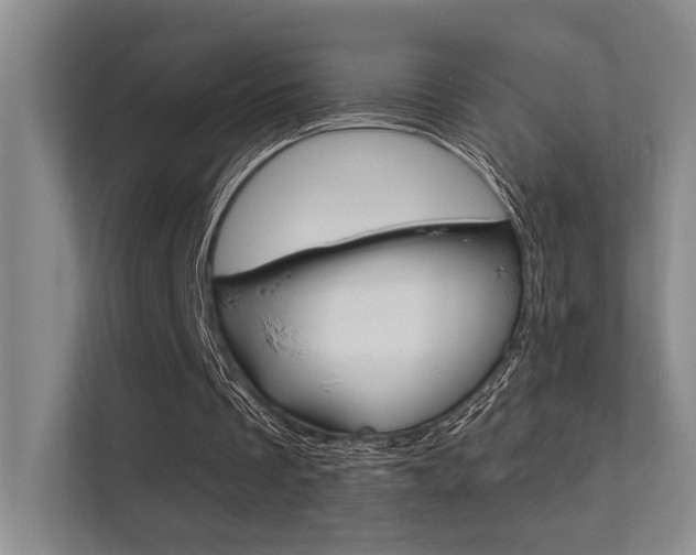 X0000112390289200908131349