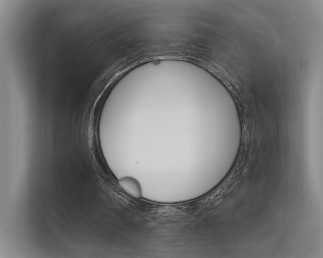 X0000112390290200908131349