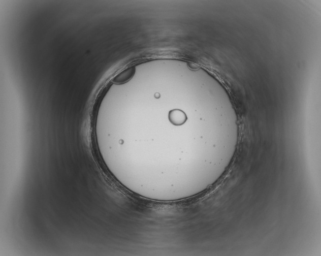 X0000112390293200908131349