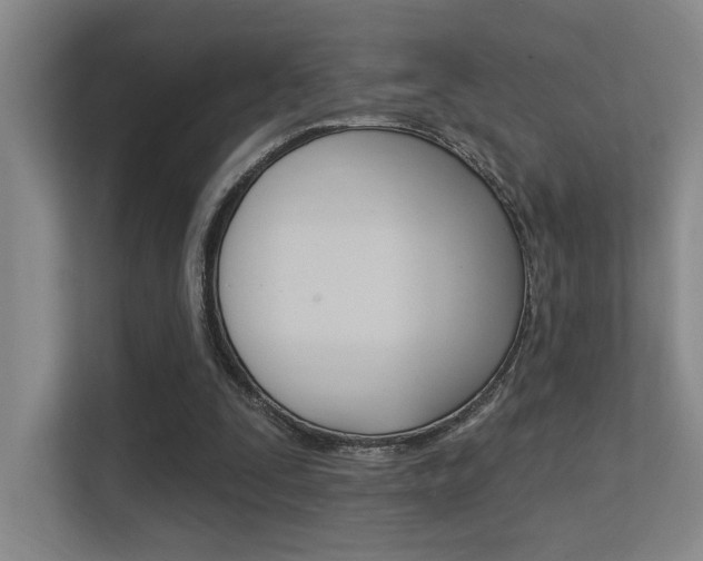 X0000112390295200908131349