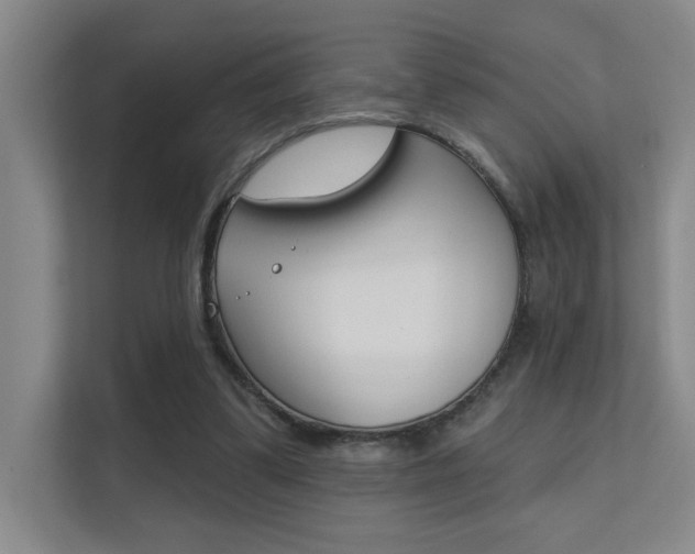 X0000112390299200908131349