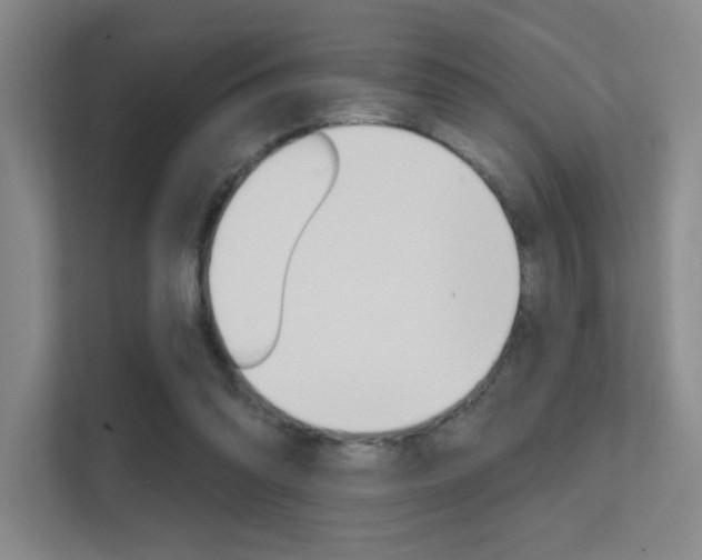 X0000112390302200908131349