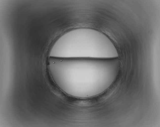 X0000112390303200908131349