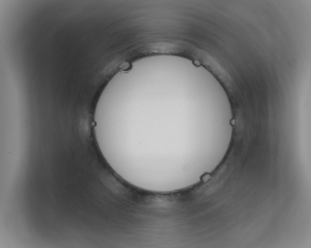 X0000112390305200908131349