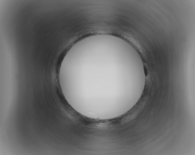 X0000112390306200908131349