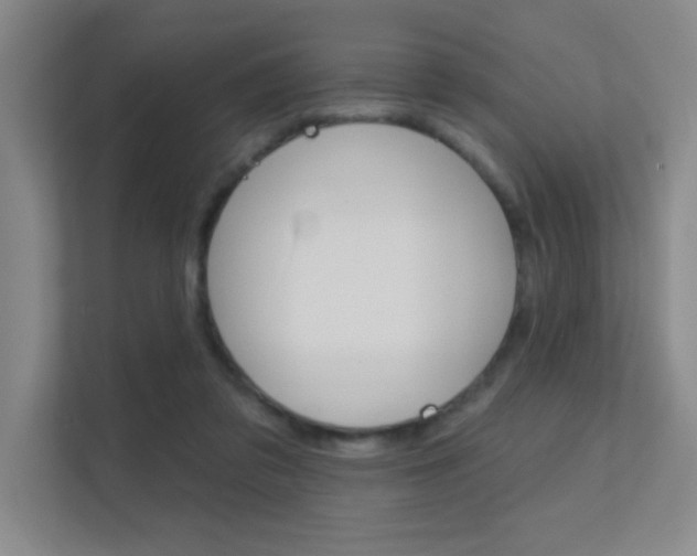 X0000112390309200908131349