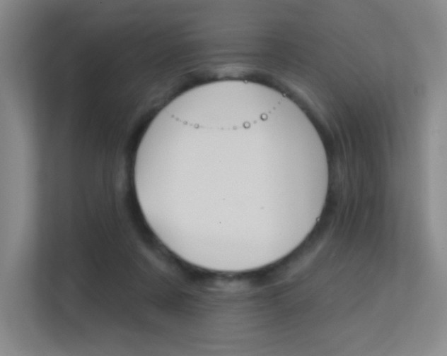 X0000112390311200908131349