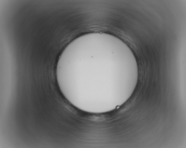 X0000112390317200908131349