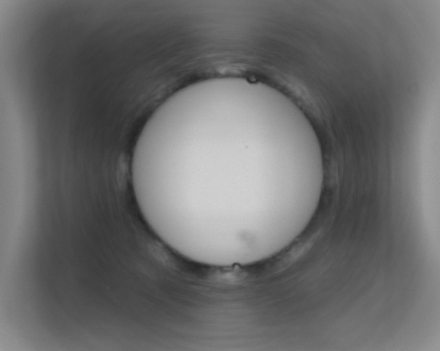 X0000112390321200908131349