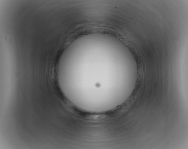 X0000112390323200908131349