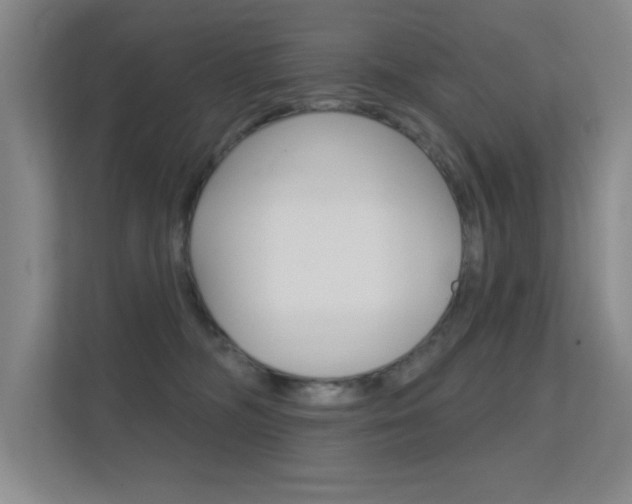 X0000112390326200908131349