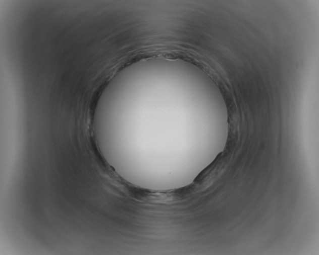 X0000112390328200908131349