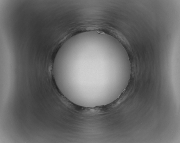 X0000112390329200908131349