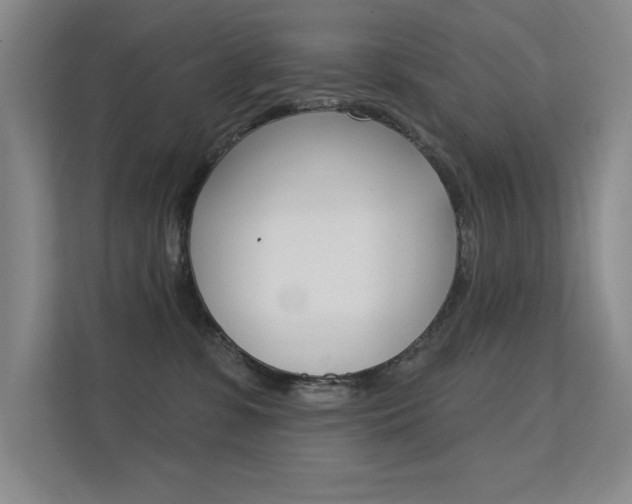 X0000112390331200908131349